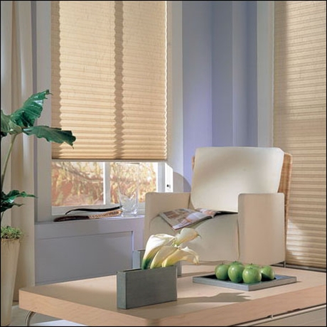 Pleated blinds for windows