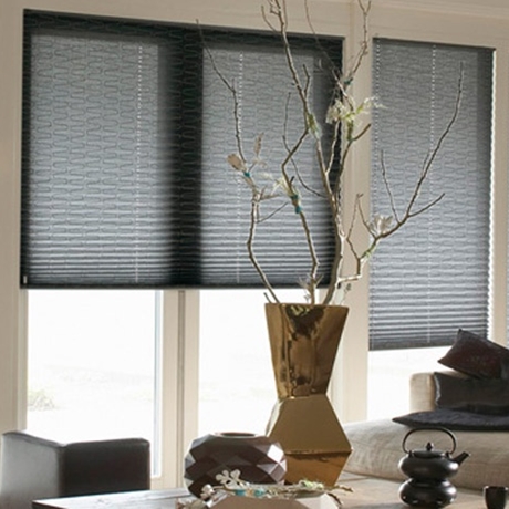 Pleated blinds